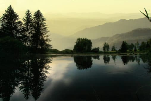 The world is a mirror of you